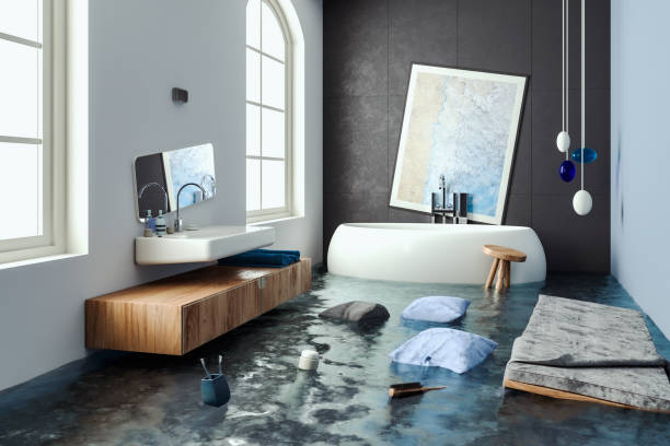Best Basement water damage restoration  in Pierce, NE
