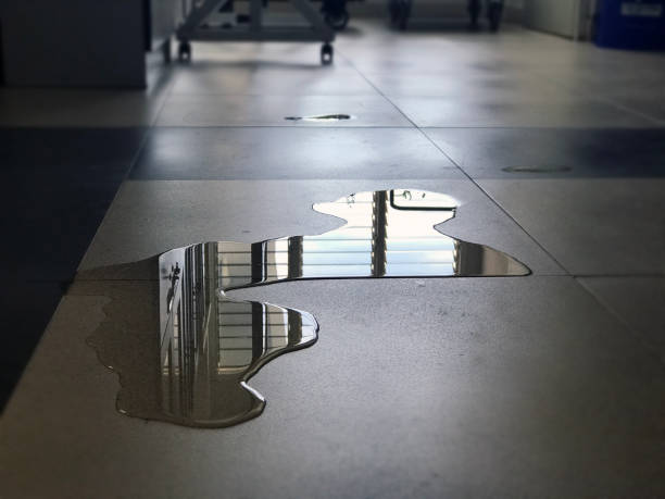 Best Water damage restoration company  in Pierce, NE