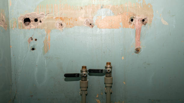 Best Water damage cleanup near me  in Pierce, NE