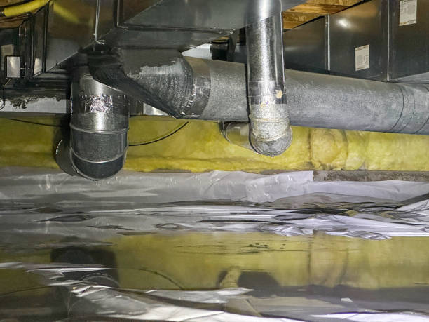 Best Water damage restoration services  in Pierce, NE