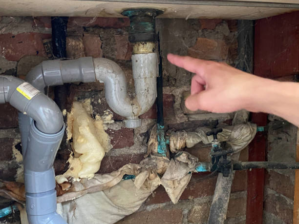 Best Professional water damage repair  in Pierce, NE