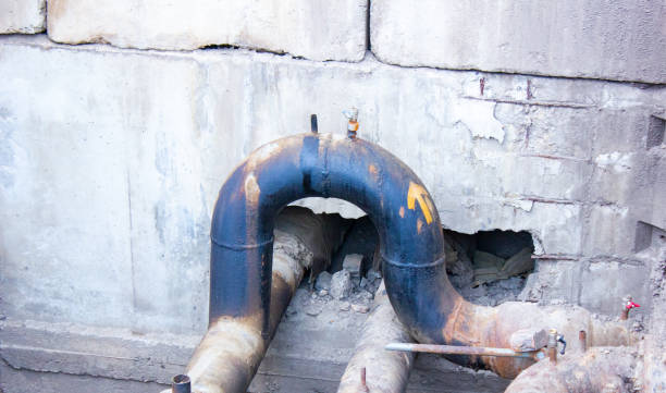 Best Mold removal after water damage  in Pierce, NE